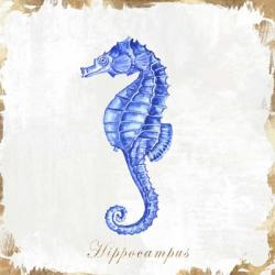 Blue Sea Horse | Obraz na stenu