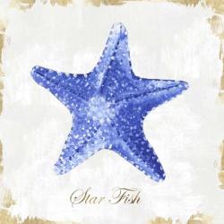 Blue Starfish | Obraz na stenu