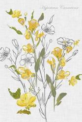 Botantical Yellow Flowers | Obraz na stenu