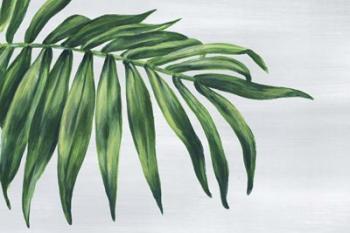 Tropical Leaf I | Obraz na stenu