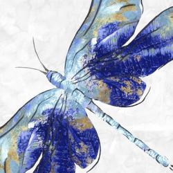 Blue Dragonfly | Obraz na stenu