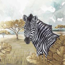 Golden Zebras | Obraz na stenu