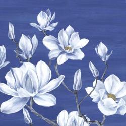 Blooming Magnolias II | Obraz na stenu