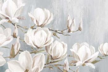 White Magnolia | Obraz na stenu