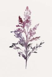 Botanical II | Obraz na stenu