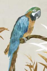Blue Parrot I | Obraz na stenu