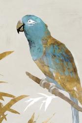 Blue Parrot II | Obraz na stenu