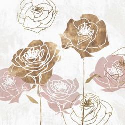 Rose Garden I | Obraz na stenu