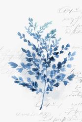 Botanical Blue III | Obraz na stenu