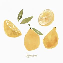 Fresh Lemons | Obraz na stenu