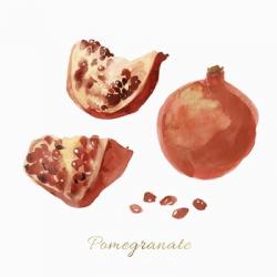 Pomegranate | Obraz na stenu