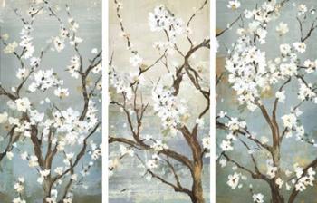 Triptych in Bloom | Obraz na stenu