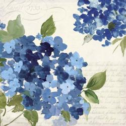 Hampton Hydrangea I | Obraz na stenu