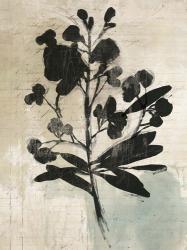 Inky Floral III | Obraz na stenu