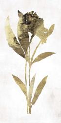 Gold Botanical III | Obraz na stenu