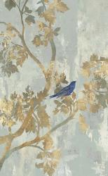 Blue Bird | Obraz na stenu