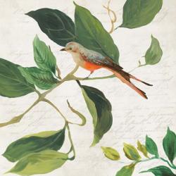 Singing Bird I | Obraz na stenu