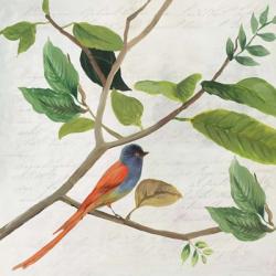 Singing Bird II | Obraz na stenu