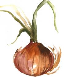 Onion | Obraz na stenu