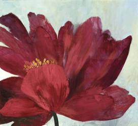 Red Splendor | Obraz na stenu