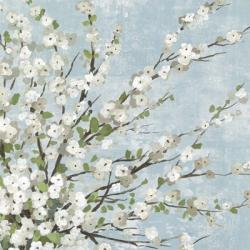 Fresh Pale Blooms II | Obraz na stenu