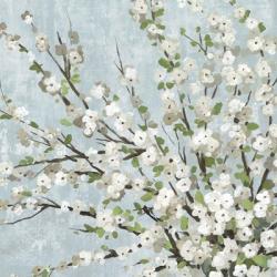 Fresh Pale Blooms III | Obraz na stenu