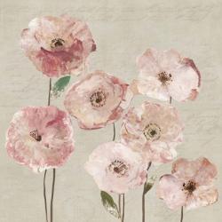 Delicate Pink Flowers | Obraz na stenu