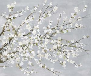 White Blossoms | Obraz na stenu