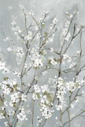 Light Almond Blossoms | Obraz na stenu