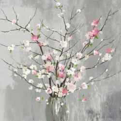 Delicate Pink Blooms | Obraz na stenu