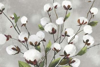 Cotton Ball Flowers I | Obraz na stenu