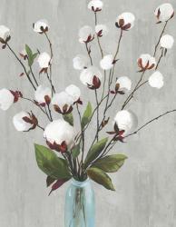 Cotton Ball Flowers II | Obraz na stenu