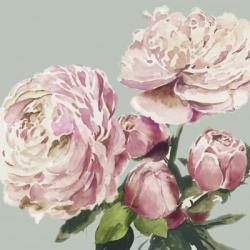 Pink Peony II | Obraz na stenu