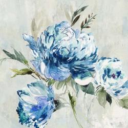 Blue Peony I | Obraz na stenu