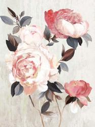 Bloom of Blush | Obraz na stenu