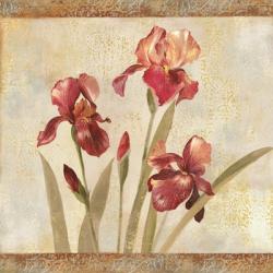 Iris Tapestry I | Obraz na stenu