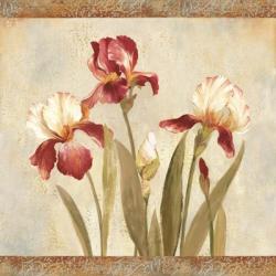 Iris Tapestry II | Obraz na stenu