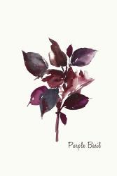 Purple Basil | Obraz na stenu