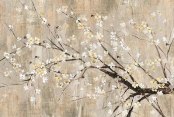 Silver Apple Blooms | Obraz na stenu