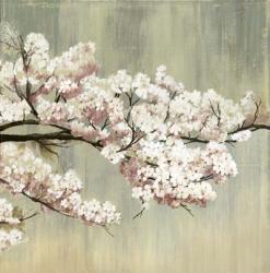 Blossoms | Obraz na stenu