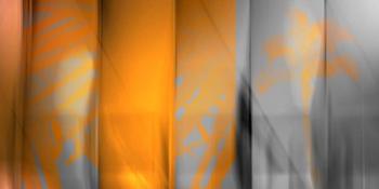 Orange Shades | Obraz na stenu
