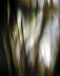 Organic III | Obraz na stenu