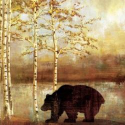 Great Bear | Obraz na stenu