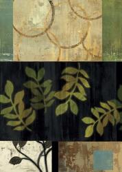 Leaves of Green I | Obraz na stenu