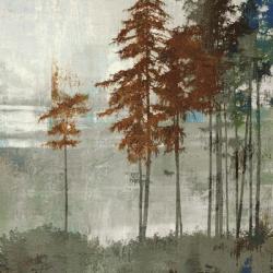 Spruce Woods II | Obraz na stenu