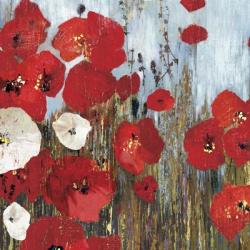 Passion Poppies I | Obraz na stenu