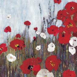 Passion Poppies II | Obraz na stenu