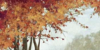 Fall Canopy I | Obraz na stenu