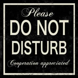 Do Not Disturb | Obraz na stenu