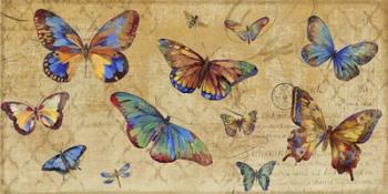 Butterflies in Flight | Obraz na stenu